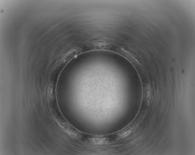 X0000083650615200702201436