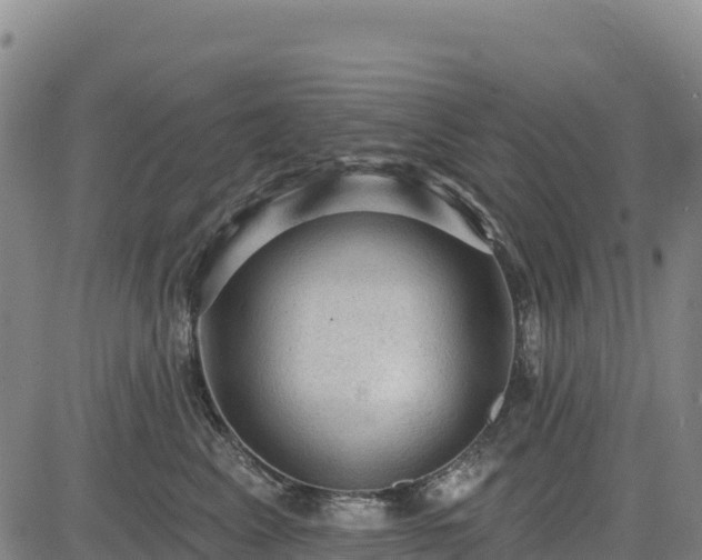 X0000083650617200702201436