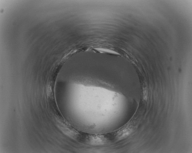 X0000083650618200702201436