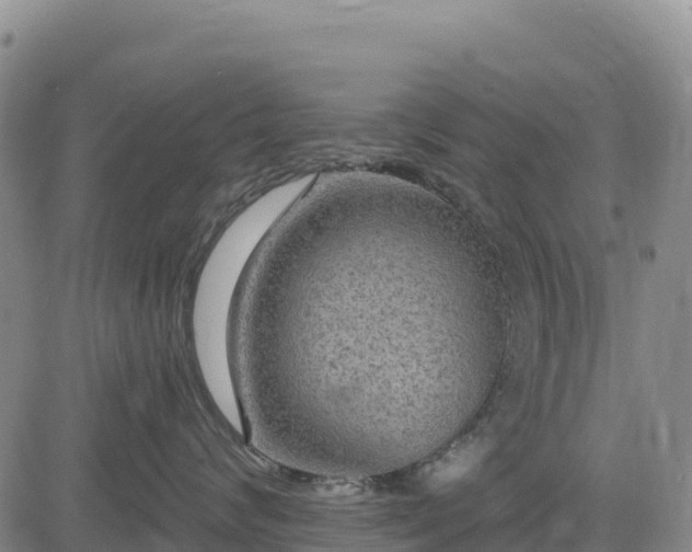 X0000083650624200702201435