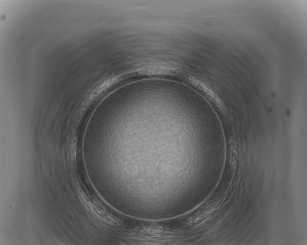 X0000083650631200702201435