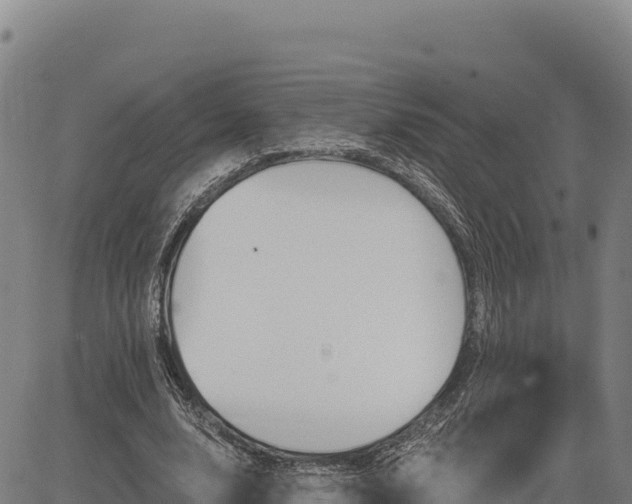 X0000083650632200702201435