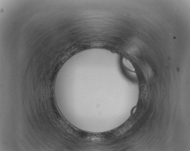 X0000083650655200702201435