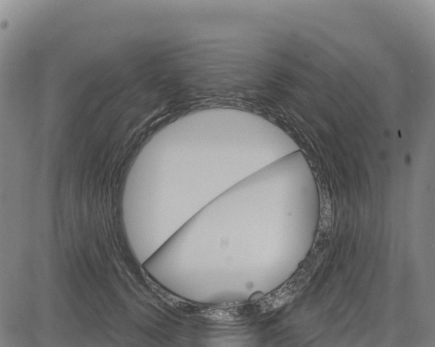 X0000083650656200702201435