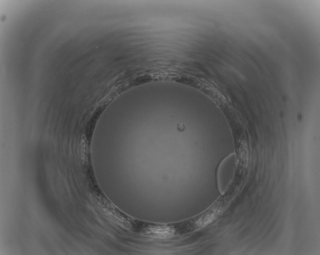 X0000083650659200702201435