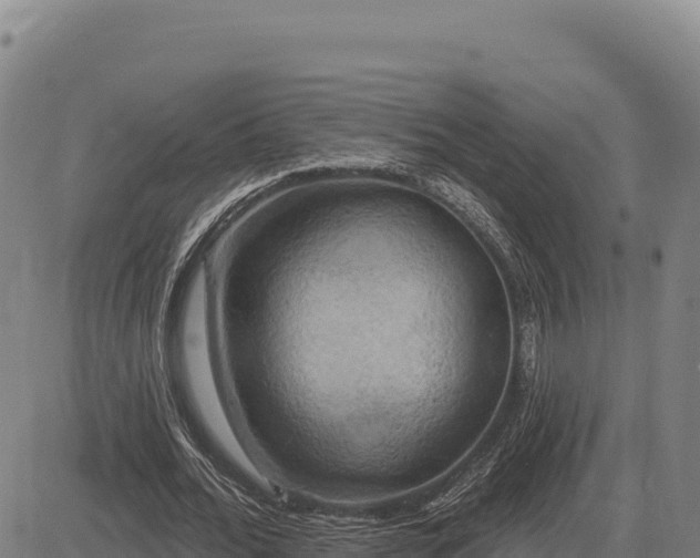 X0000083650676200702201435