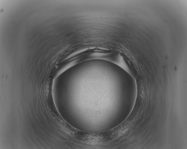 X0000083650697200702201434