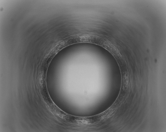 X0000083650698200702201434
