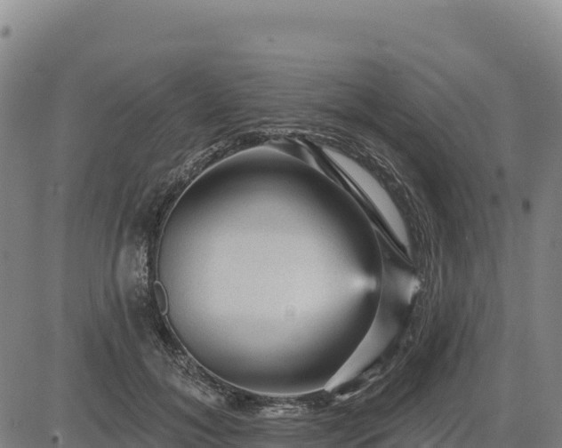 X0000083650700200702201434