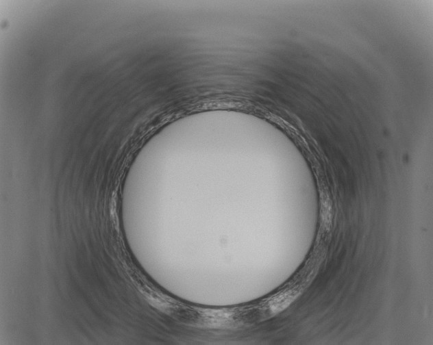 X0000083650701200702201434