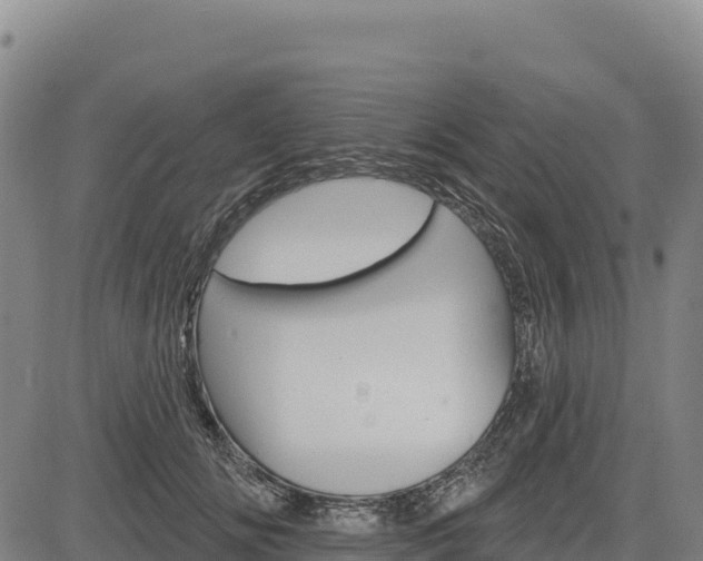 X0000083650702200702201434