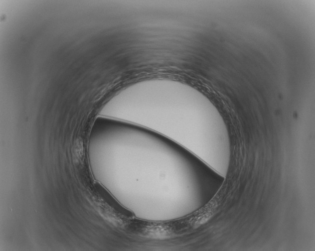 X0000083650704200702201434