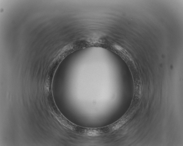 X0000083650710200702201434