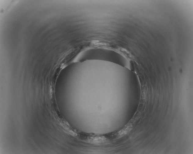 X0000083650716200702201434