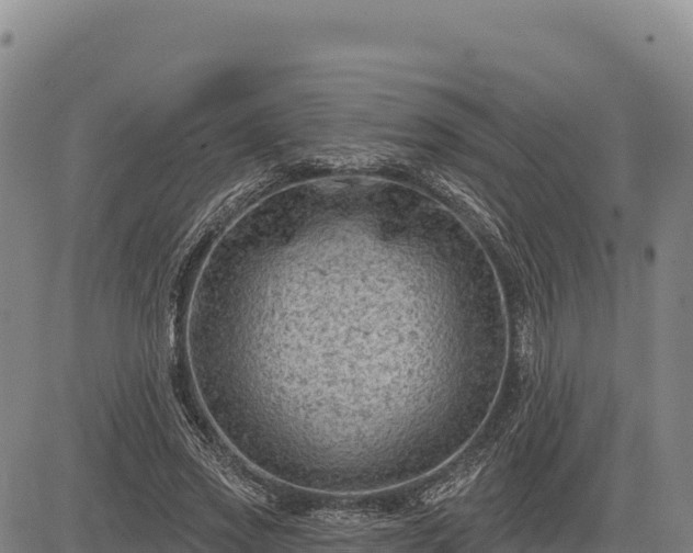 X0000083650733200702201433