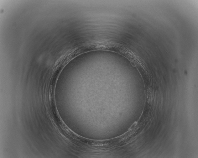 X0000083650740200702201433