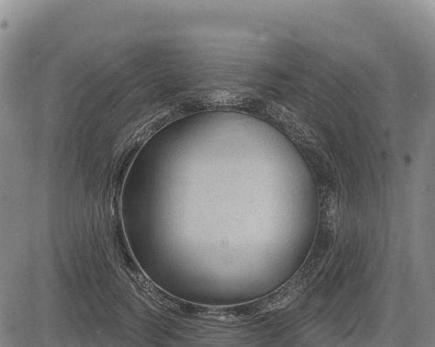 X0000083650746200702201433