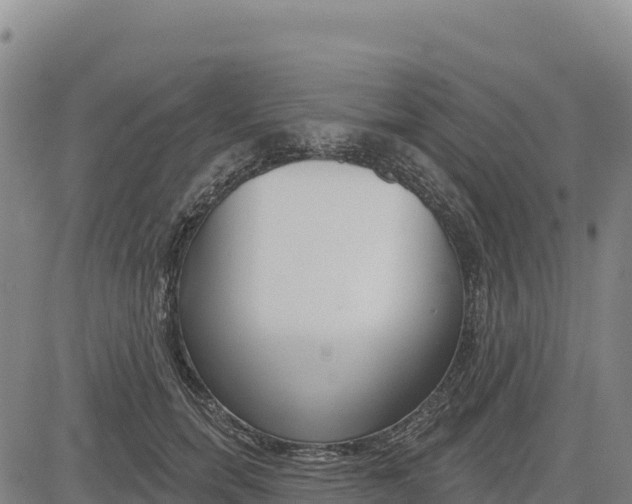 X0000083650750200702201434
