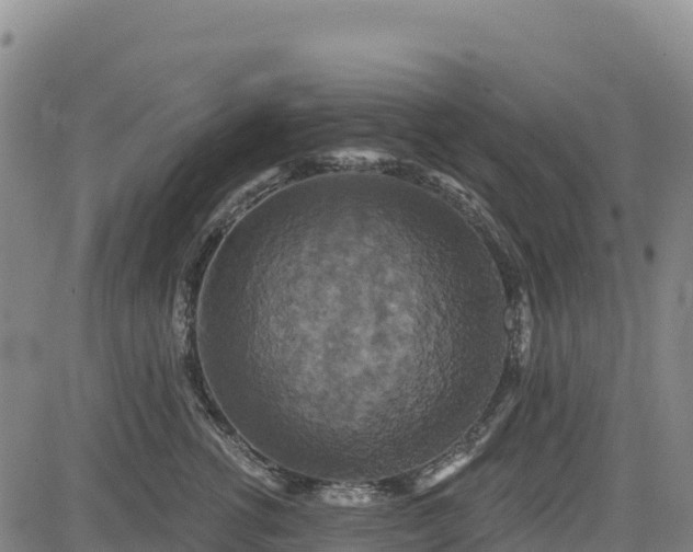X0000083650762200702201434