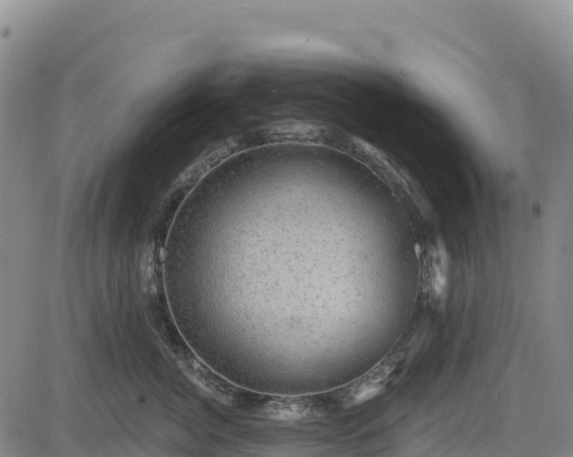 X0000083650764200702201434