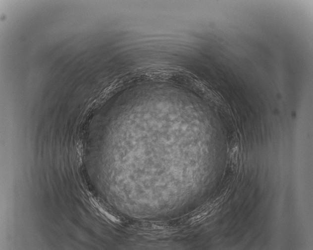 X0000083650772200702201433