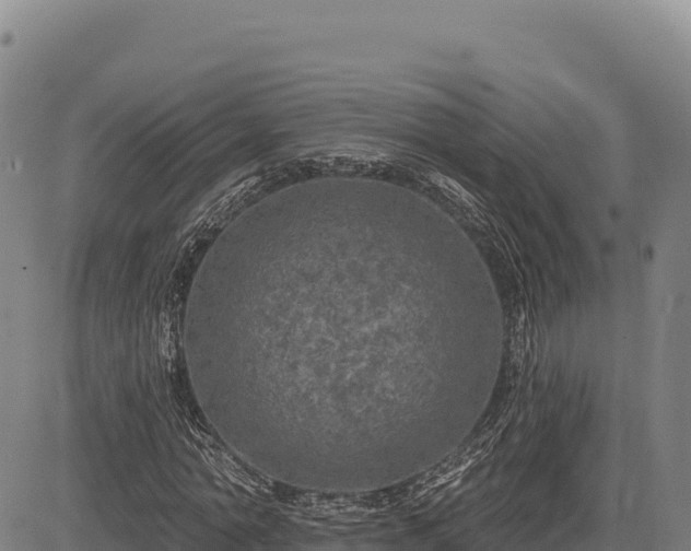 X0000083650774200702201433