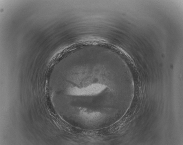 X0000083650775200702201433