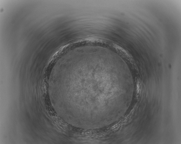 X0000083650776200702201433