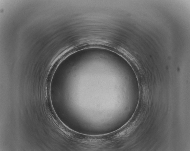 X0000083650782200702201433