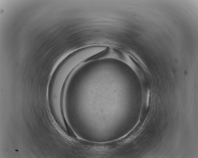 X0000083650788200702201433
