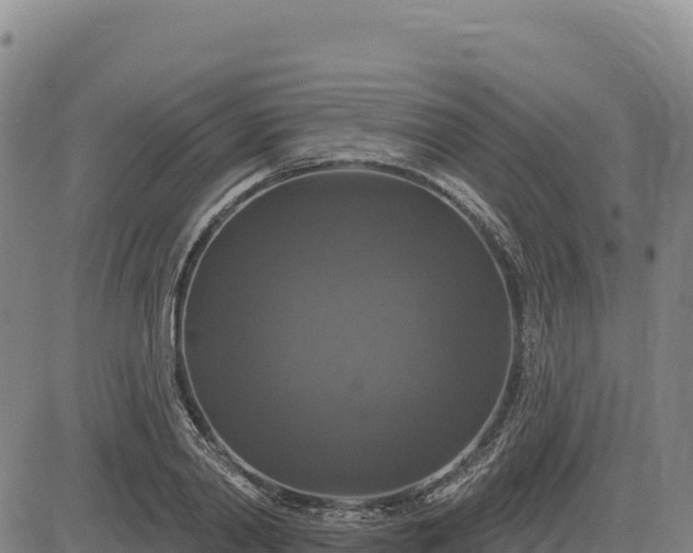 X0000083650790200702201433