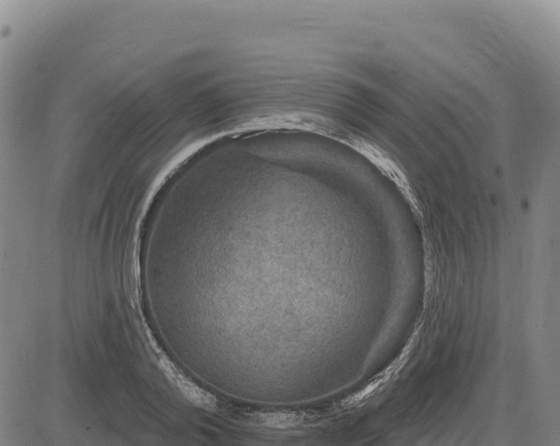 X0000083650792200702201433