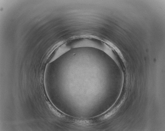X0000083650801200702201433