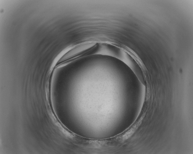 X0000083650812200702201432