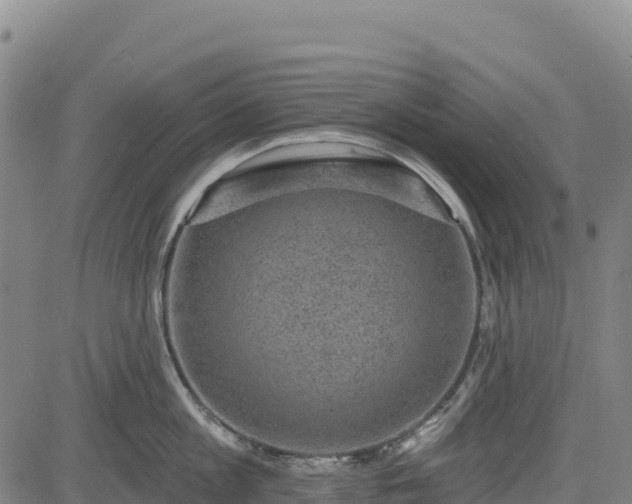 X0000083650813200702201432