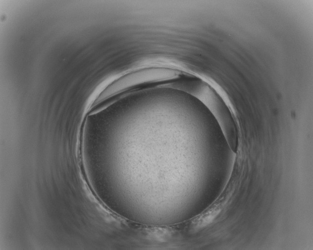 X0000083650815200702201432