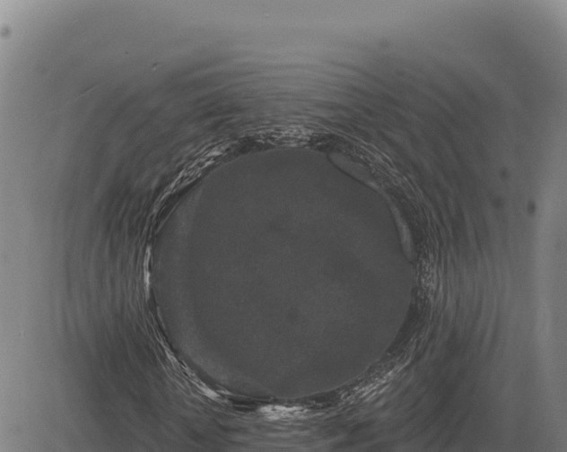 X0000083650818200702201431