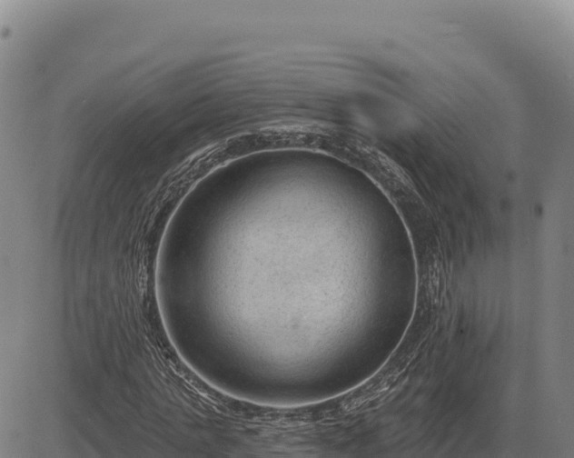 X0000083650821200702201432