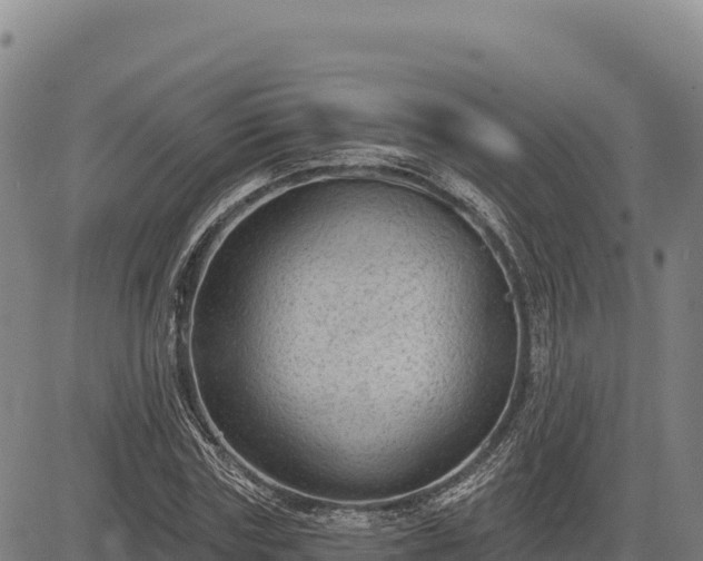 X0000083650827200702201432