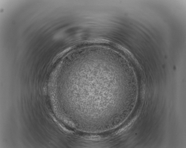 X0000083650833200702201432