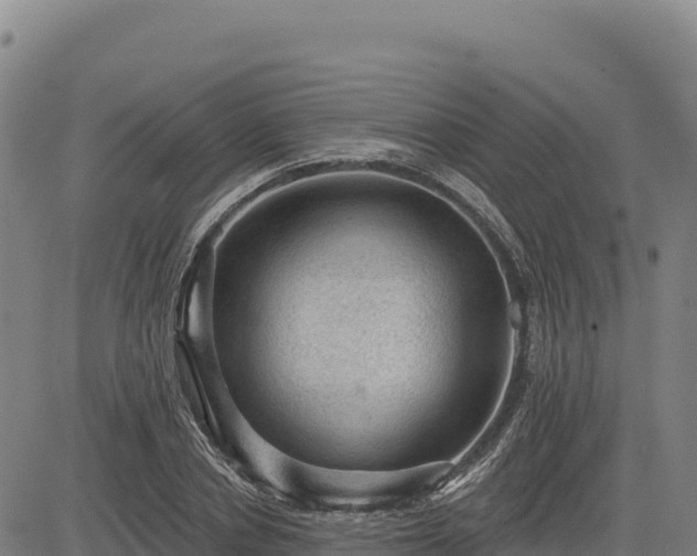 X0000083650834200702201432
