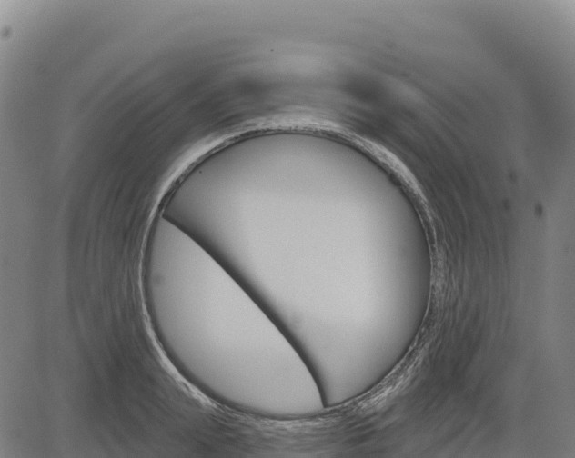 X0000083650847200702201432