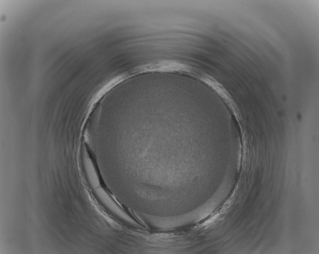 X0000083650850200702201432