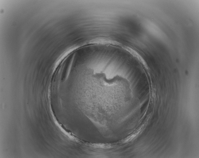 X0000083650855200702201432