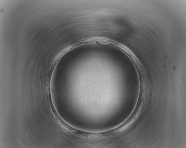 X0000083650857200702201432