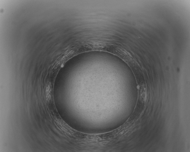 X0000083650866200702201431