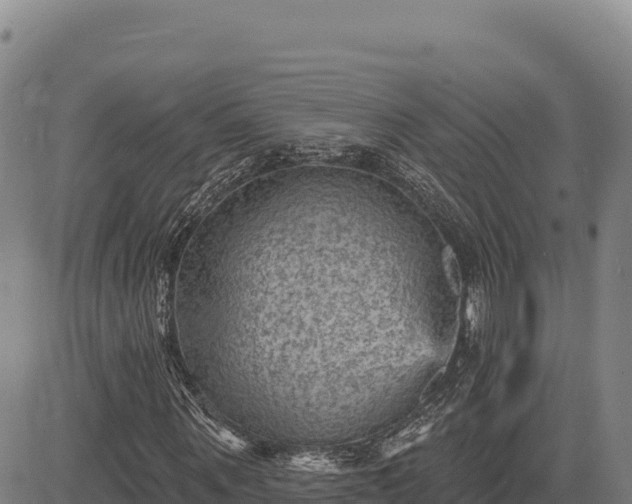 X0000083650867200702201431
