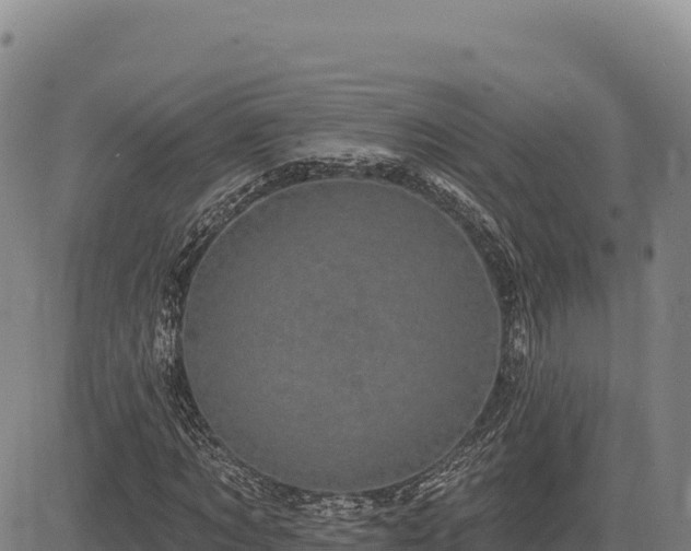 X0000083650869200702201431