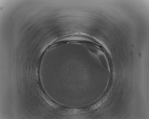 X0000083650881200702201431