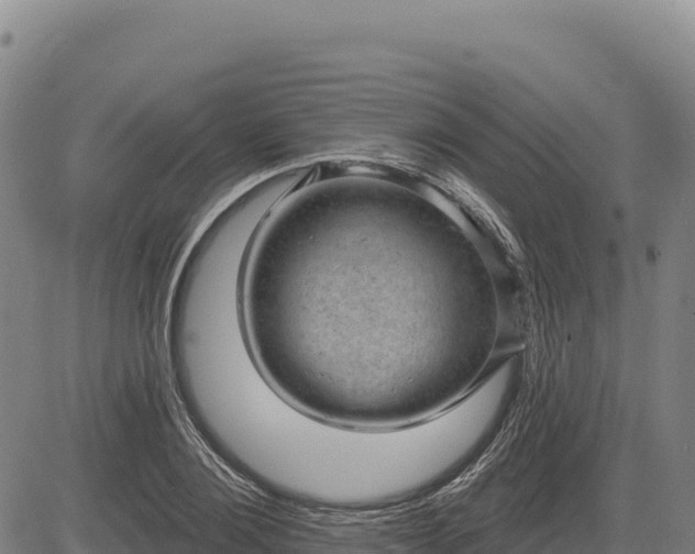 X0000083650884200702201431